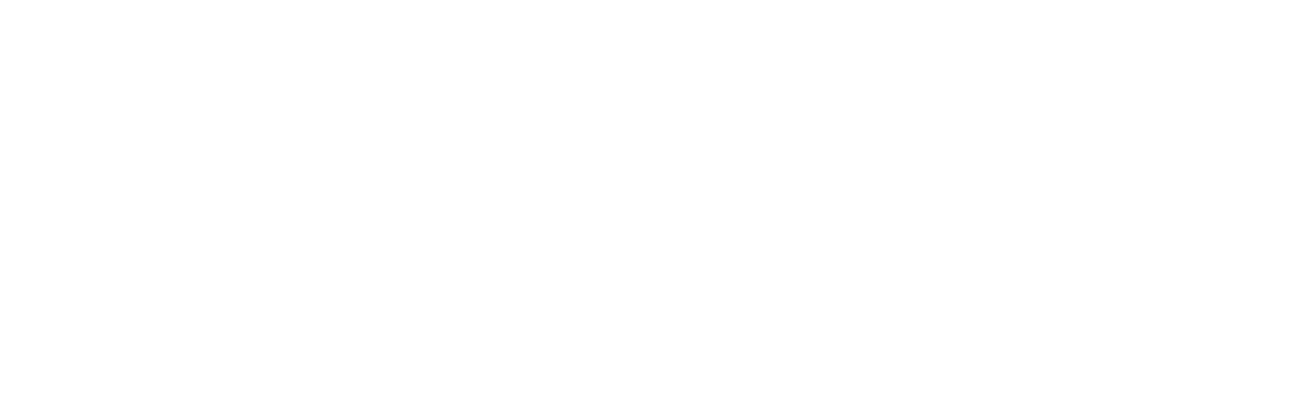 Northeastern Logo